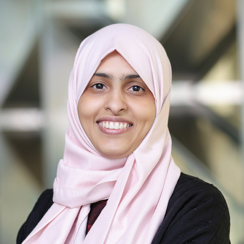 Iman Roqan: establishing a foundation for semiconductor research